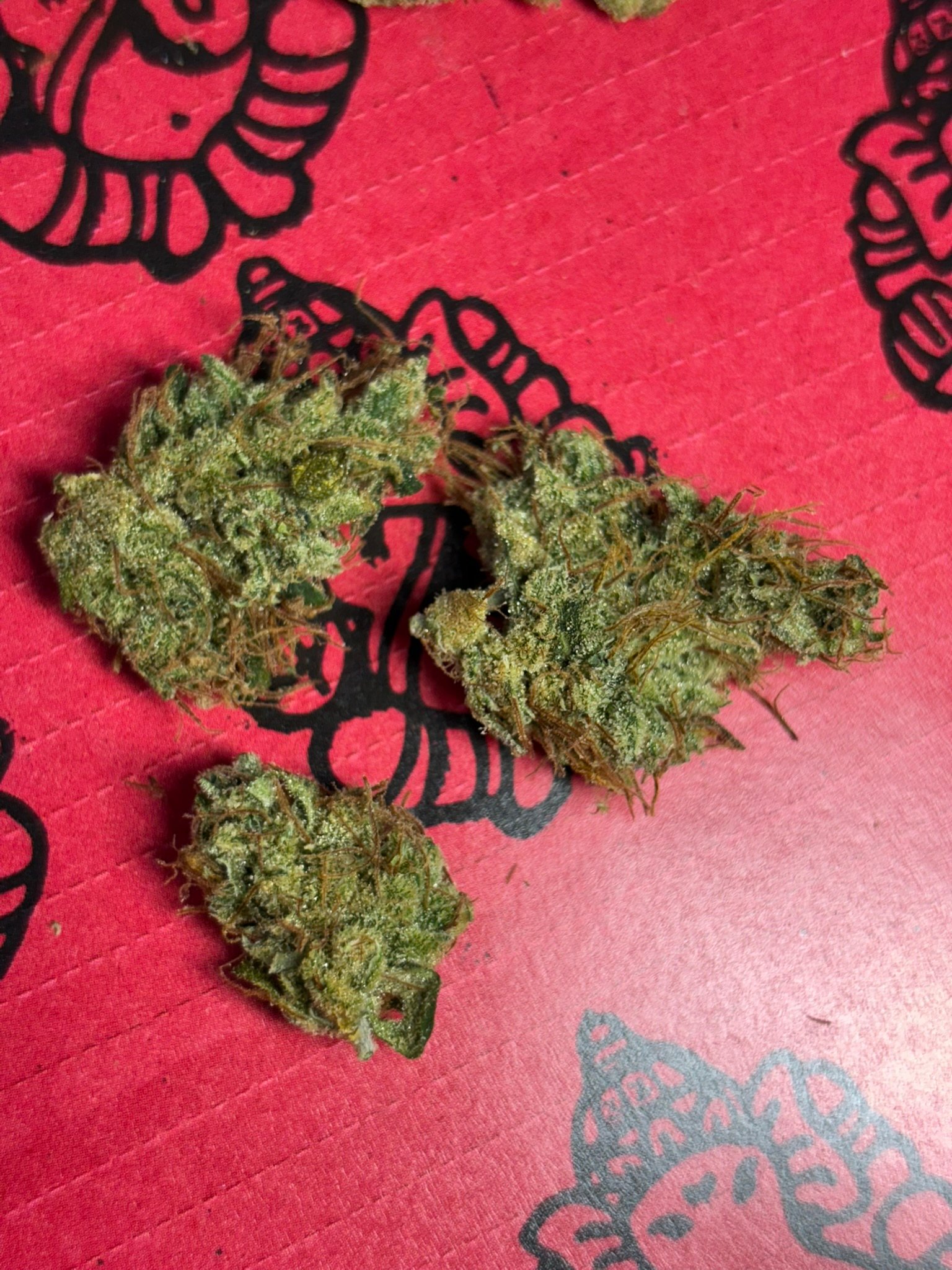 Cathedral Haze #3