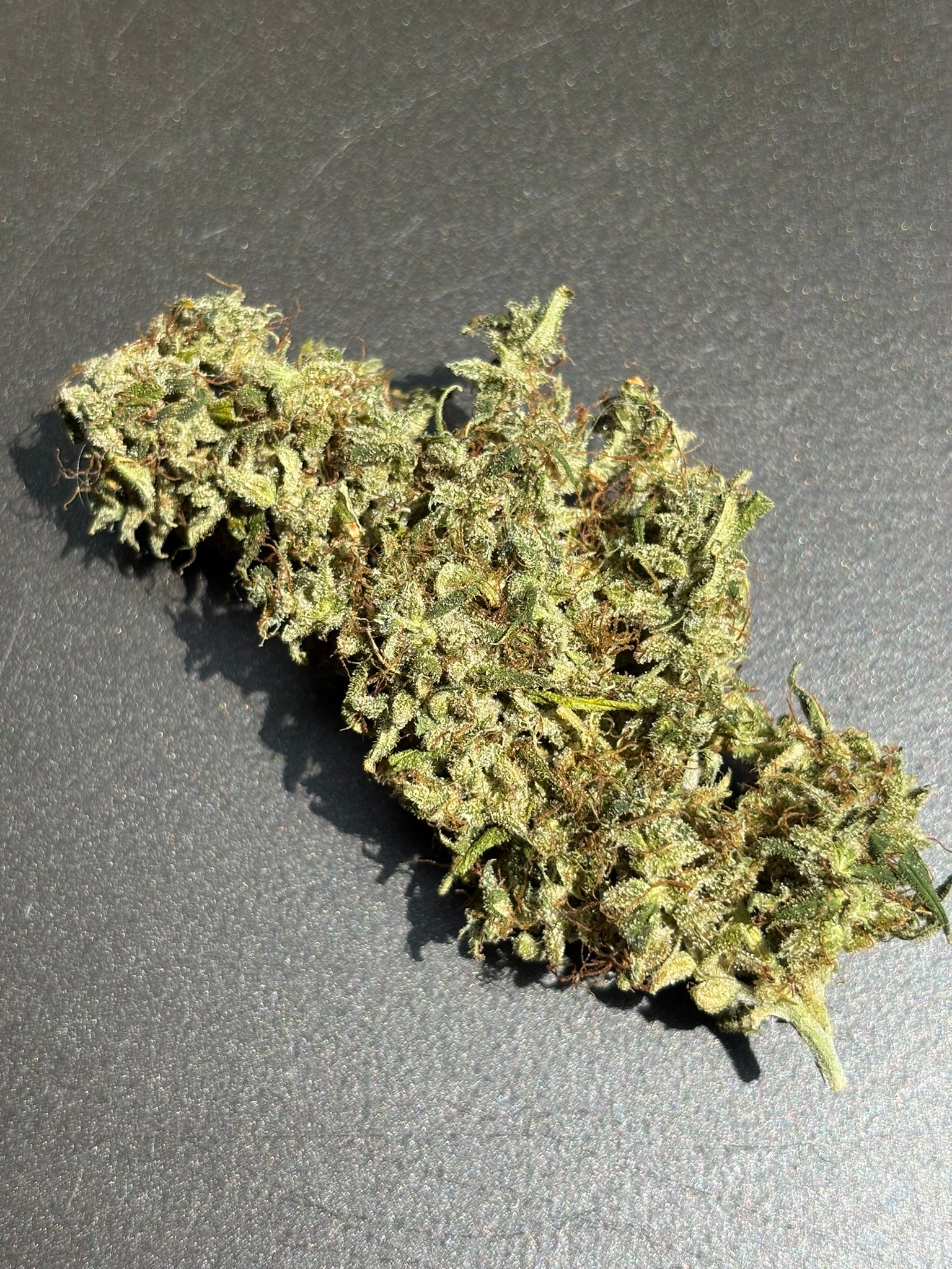 Golden Tiger - July