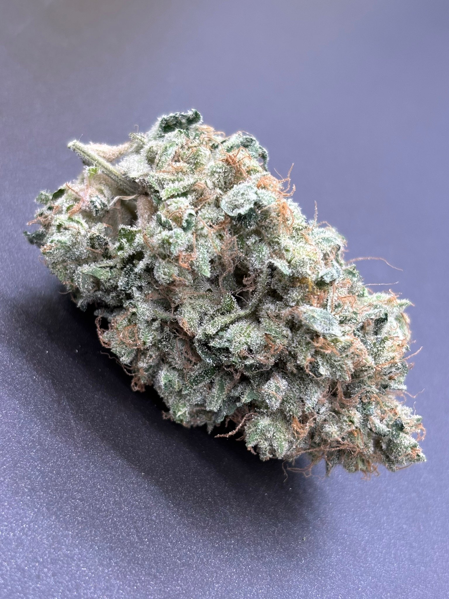 HP13 dried nug